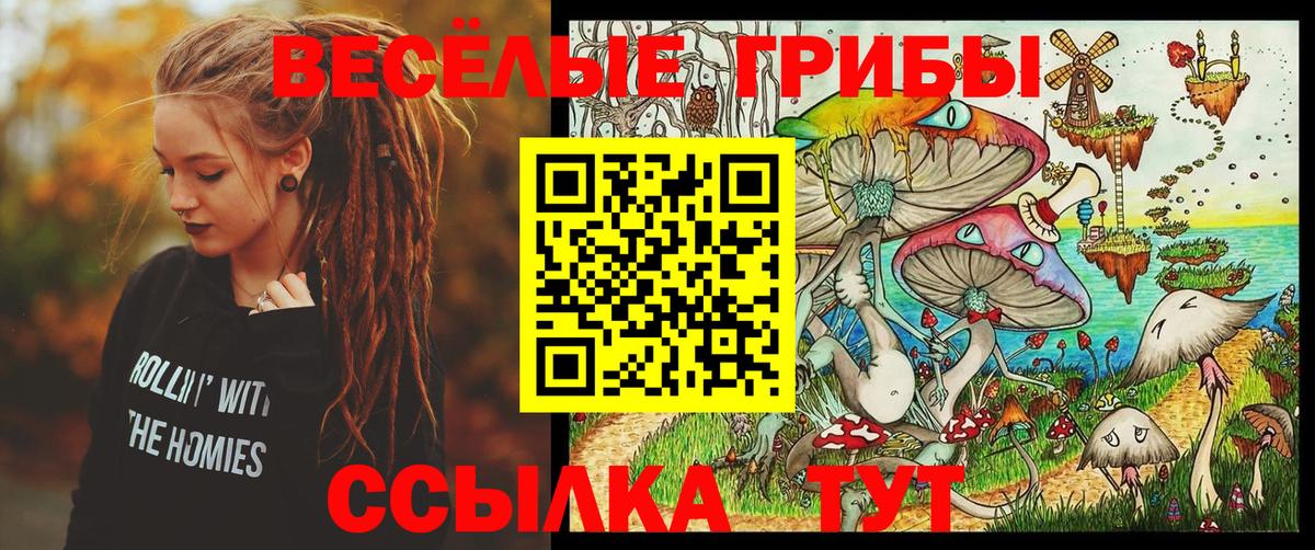 Псилоцибиновые грибы мицелий Кизляр